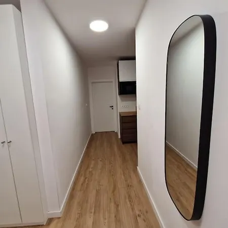 Apartament Dmowskiego Z Miejscem Parkingowym * Poznan