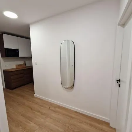 Apartament Dmowskiego Z Miejscem Parkingowym * Poznan