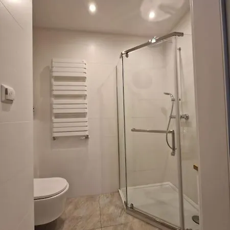 Apartament Dmowskiego Z Miejscem Parkingowym Poznan