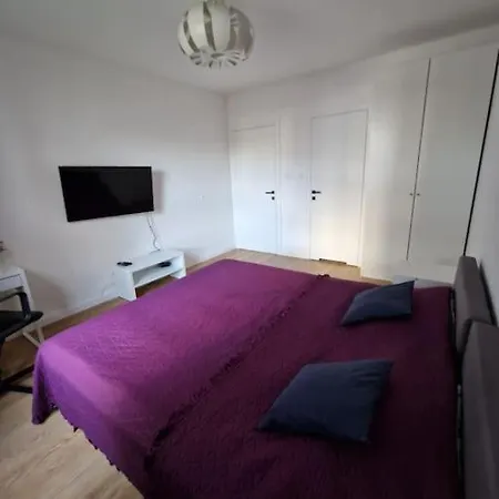 Apartament Dmowskiego Z Miejscem Parkingowym Poznan