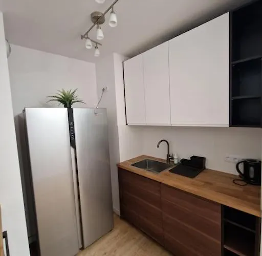 Dmowskiego Apartamento